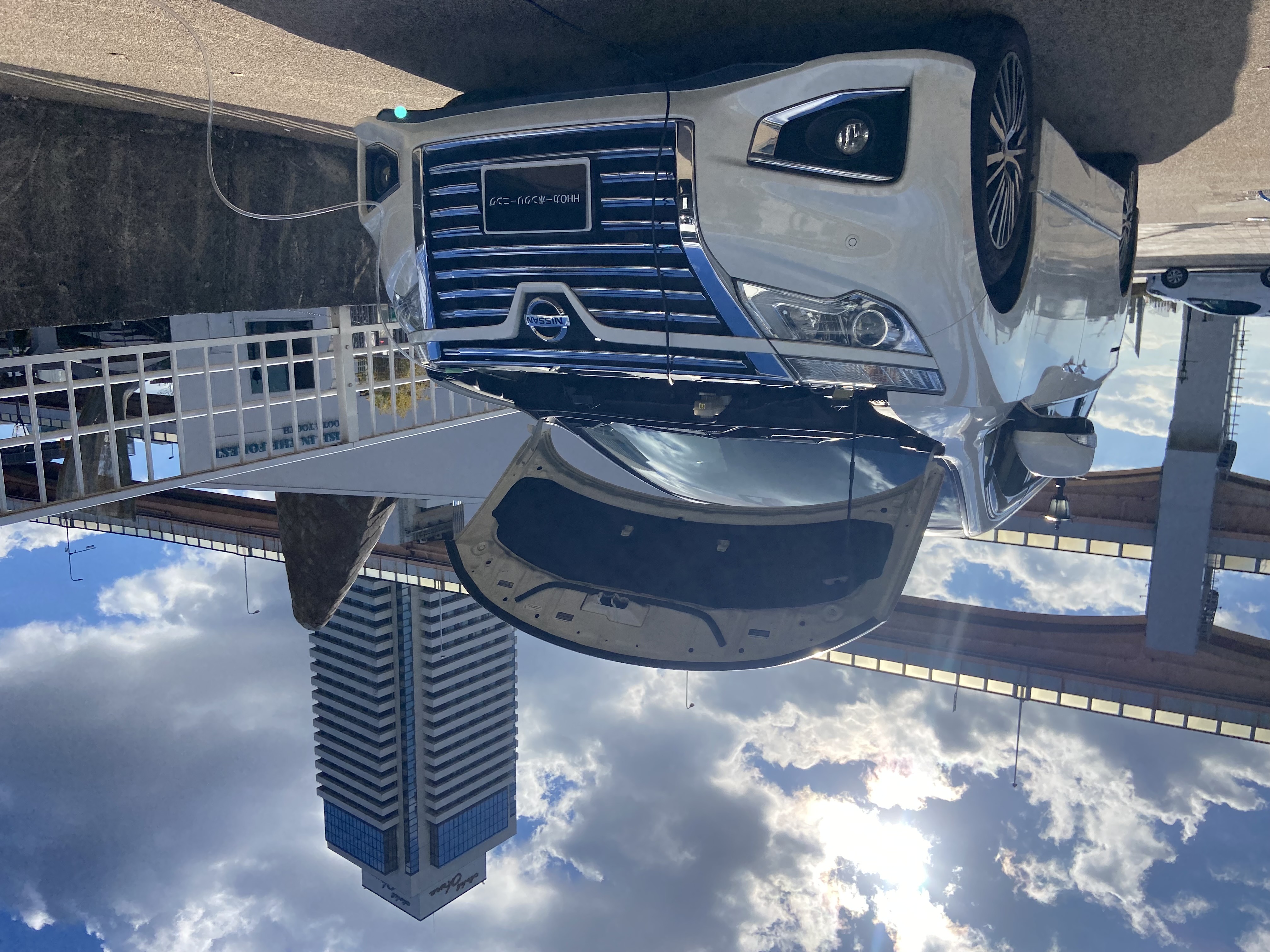 エルグランド 施工事例